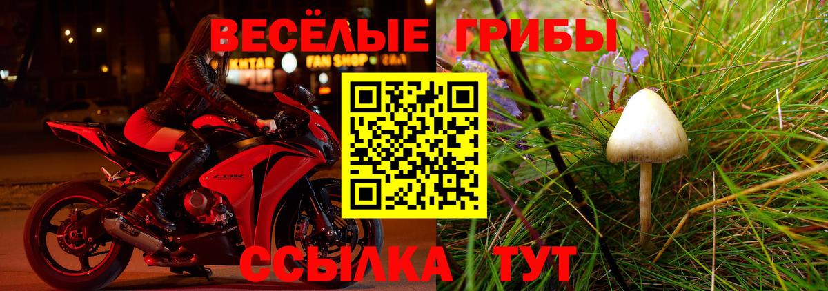 Псилоцибиновые грибы MAGIC MUSHROOMS  Вход с VPN  Елец  Псилоцибиновые грибы GOLDEN TEACHER 