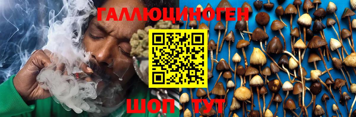 Псилоцибиновые грибы мухоморы Елец